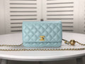 Designer Handbags Chanel 076