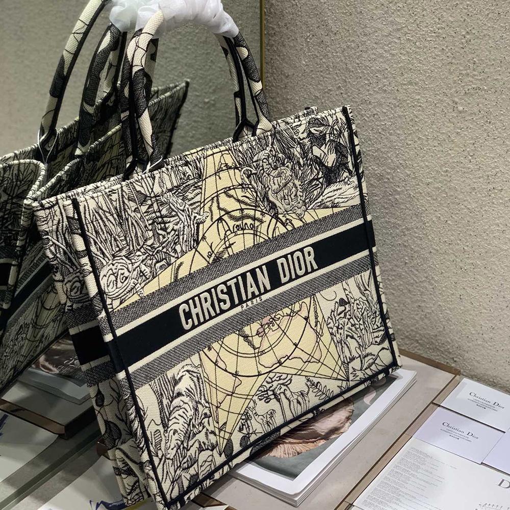 DIOR BOOK TOTE