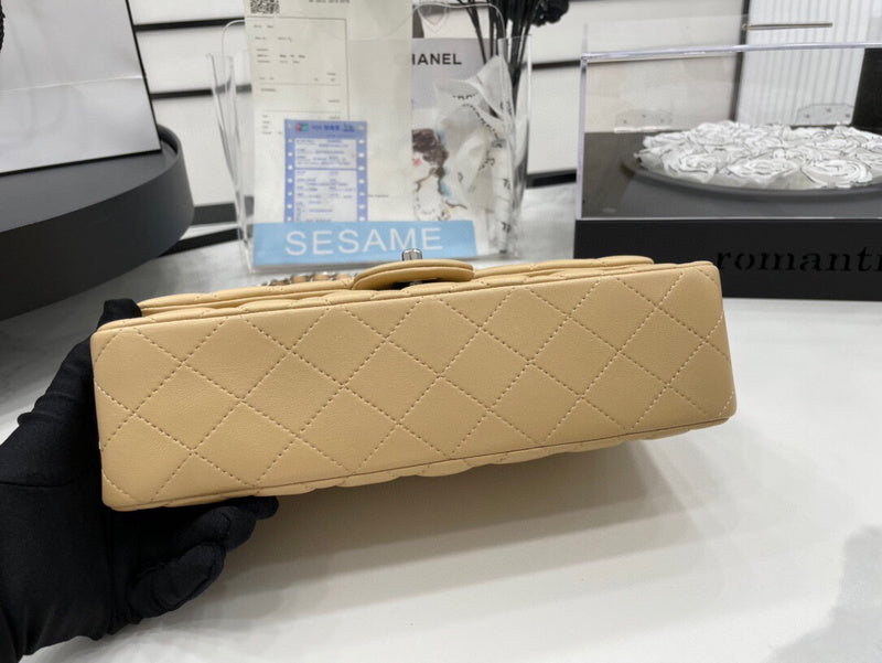 Chanel Bags - BG Bags - 2529