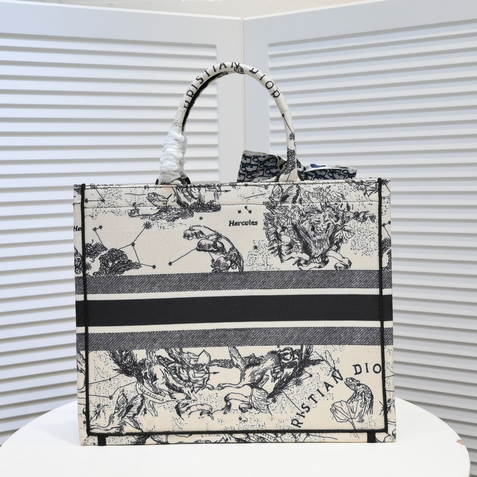 Designer Handbags dior 296