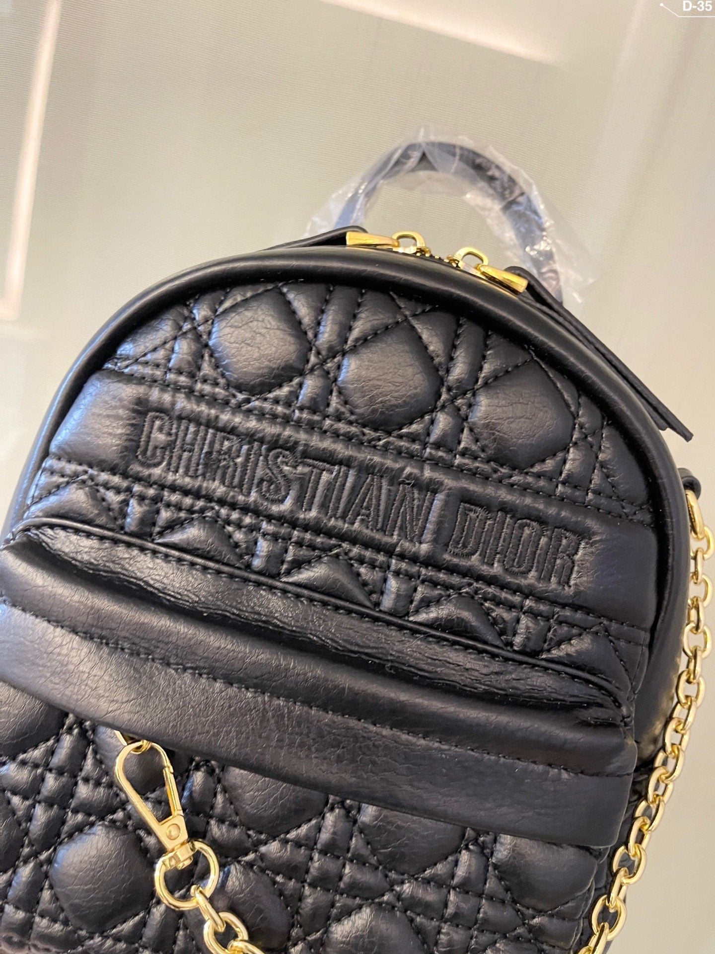 Luxury Handbags Christian Dior 313
