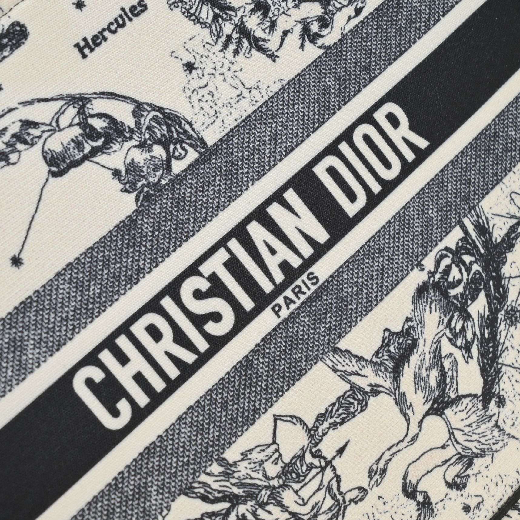 Luxury Handbags Christian Dior 296