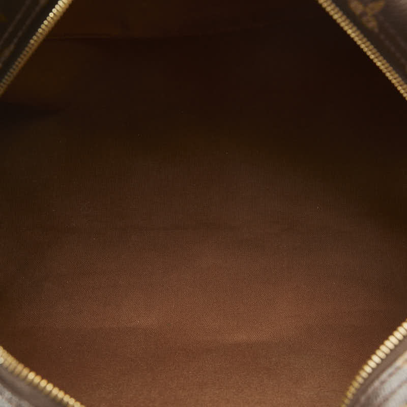 Louis Vuitton Monogram M95566 Shoulder Bag PVC/Leather Brown