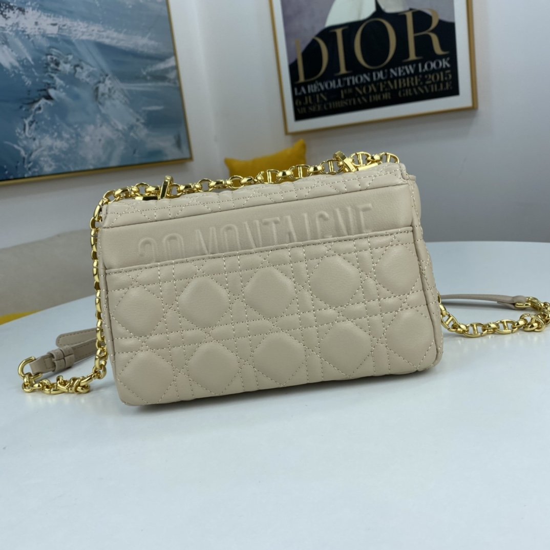 Designer Handbags dior 069