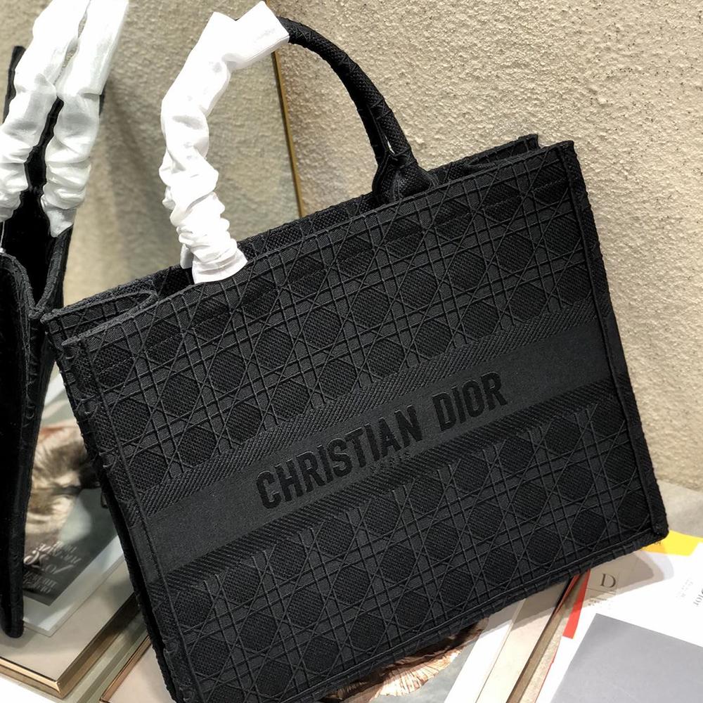 DIOR BOOK TOTE