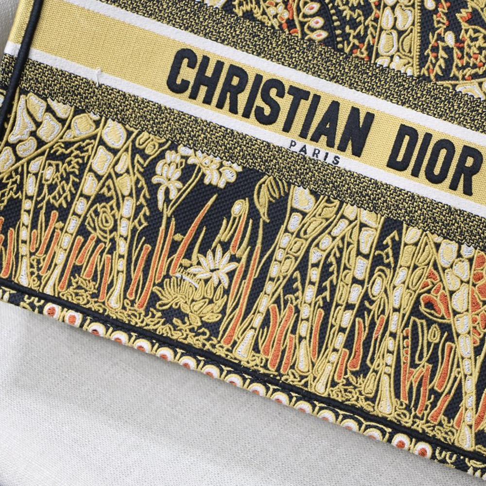 DIOR BOOK TOTE