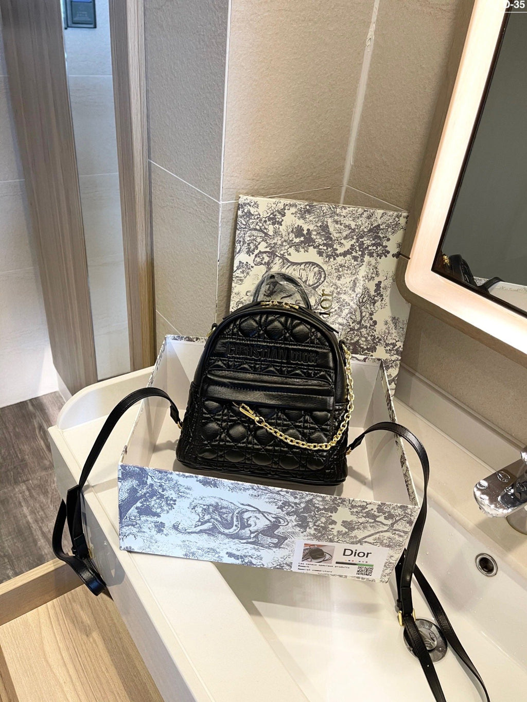 Luxury Handbags Christian Dior 313