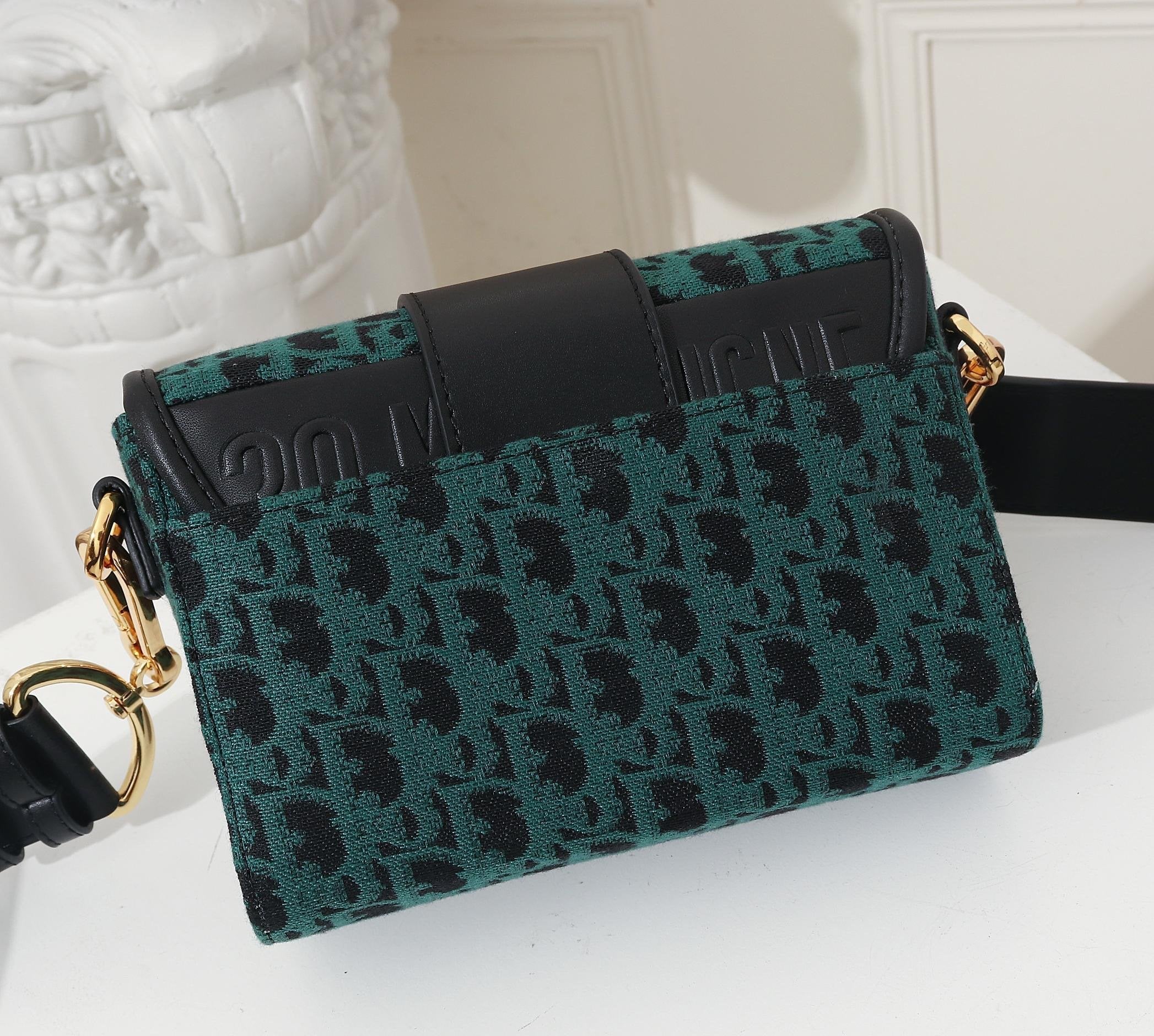 Luxury Handbags Christian Dior 172