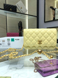 Chanel Bags - BG Bags - 1491