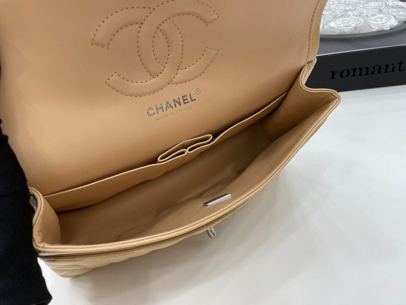 Chanel Bags - BG Bags - 2529