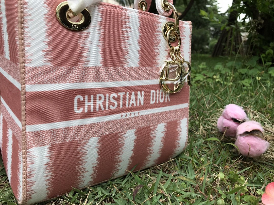 Designer Handbags dior 254