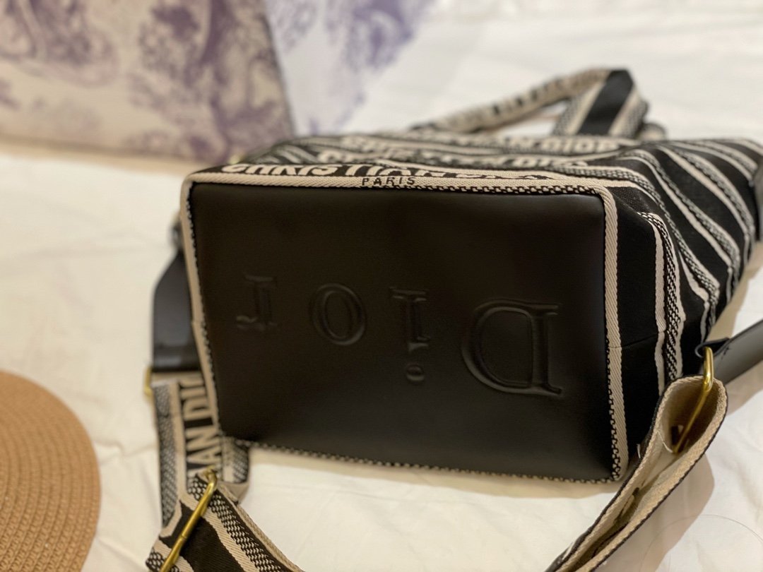 Luxury Handbags Christian Dior 310