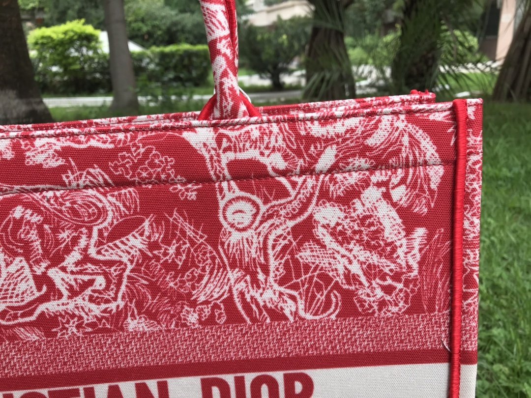 Designer Handbags dior 250