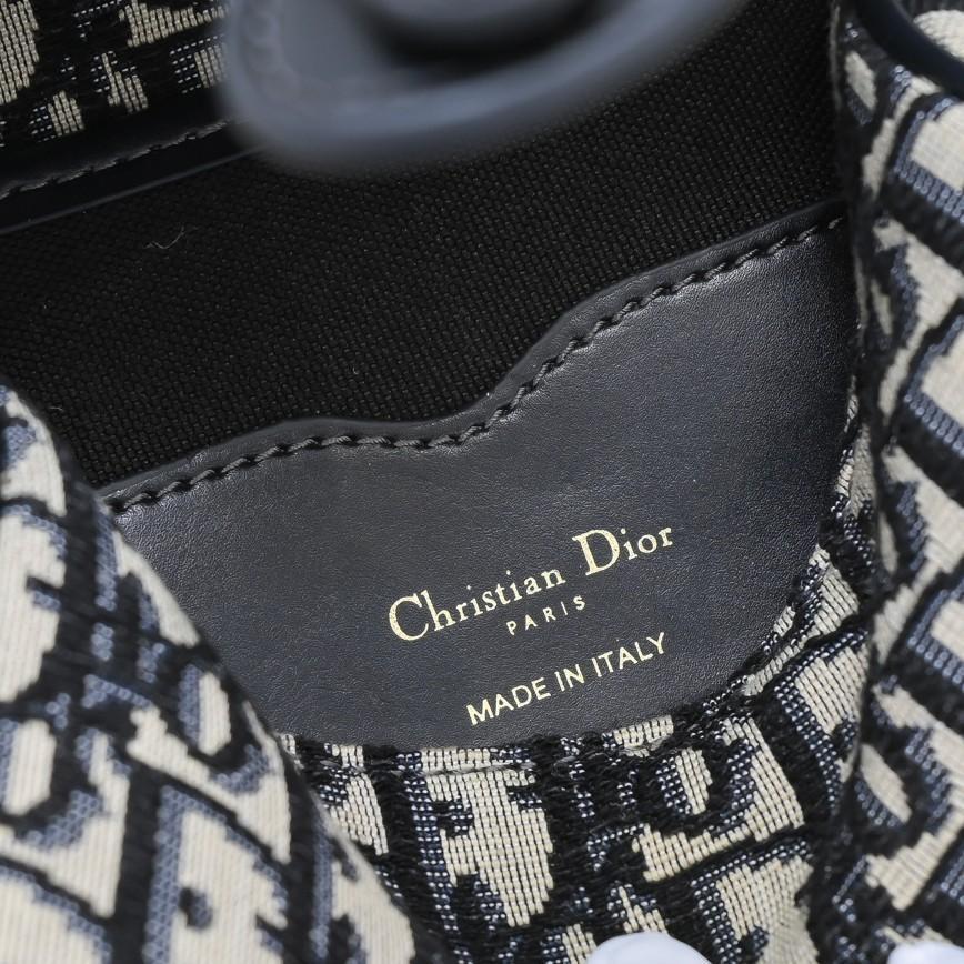 Luxury Handbags Christian Dior 287