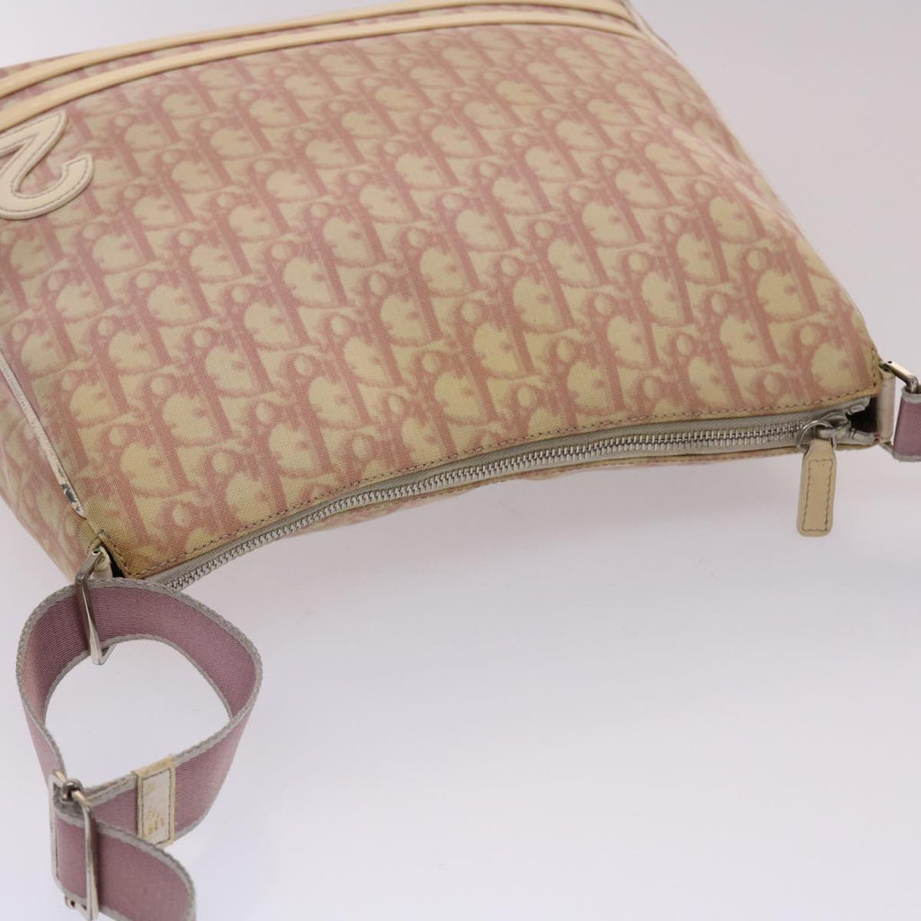 CHRISTIAN DIOR Trotter Canvas Shoulder Bag Pink Auth fm2502