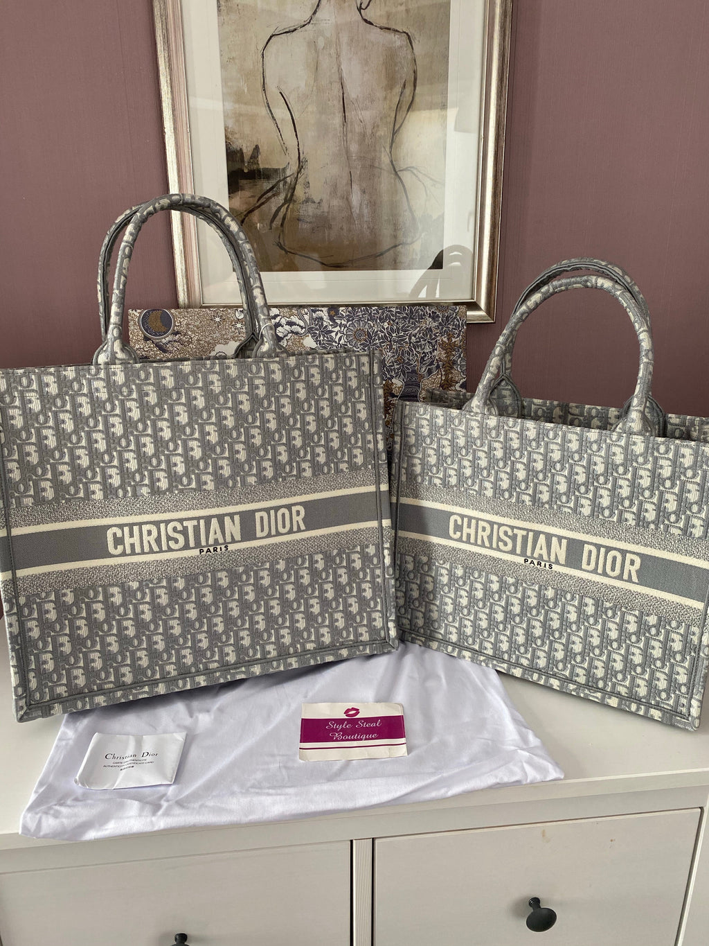 Dior Book Tote