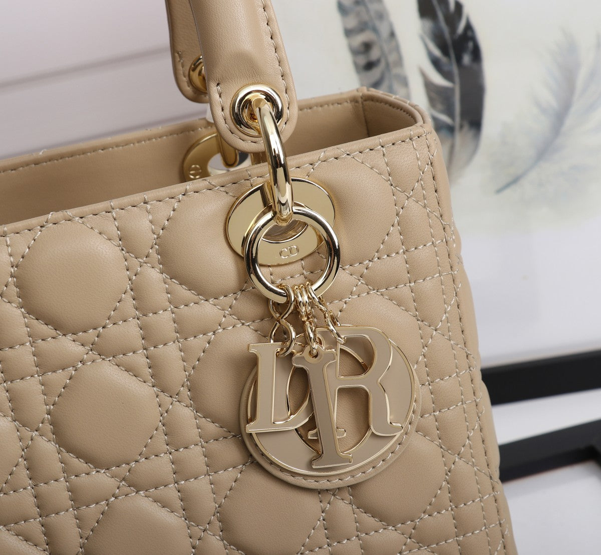 Christian Dior Medium Lady Dior  Bag
