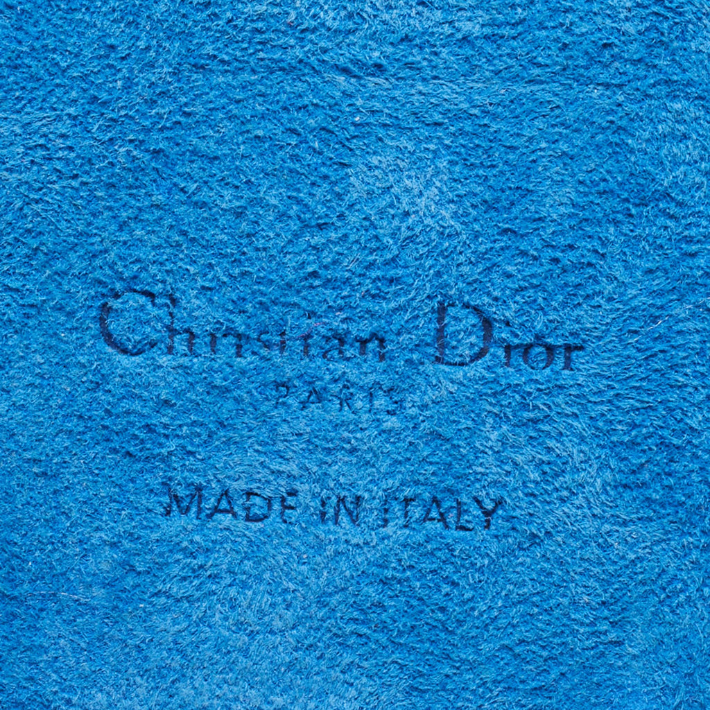 DIOR Blue/White Leather  Travel iPhone 13 Pro Case