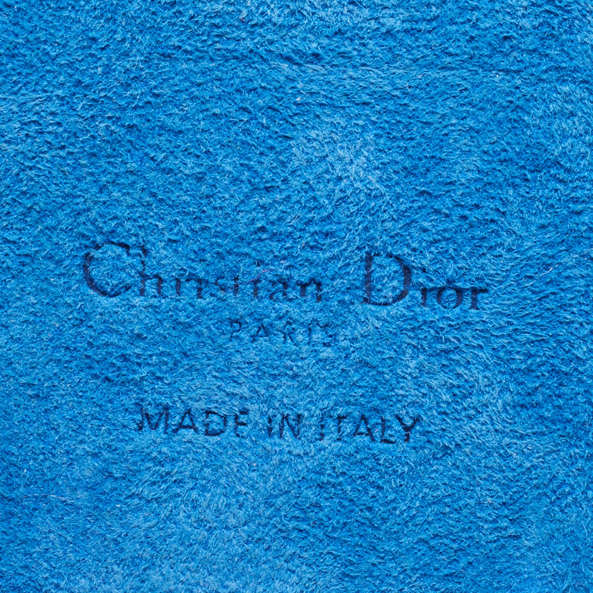 DIOR Blue/White Leather  Travel iPhone 13 Pro Case