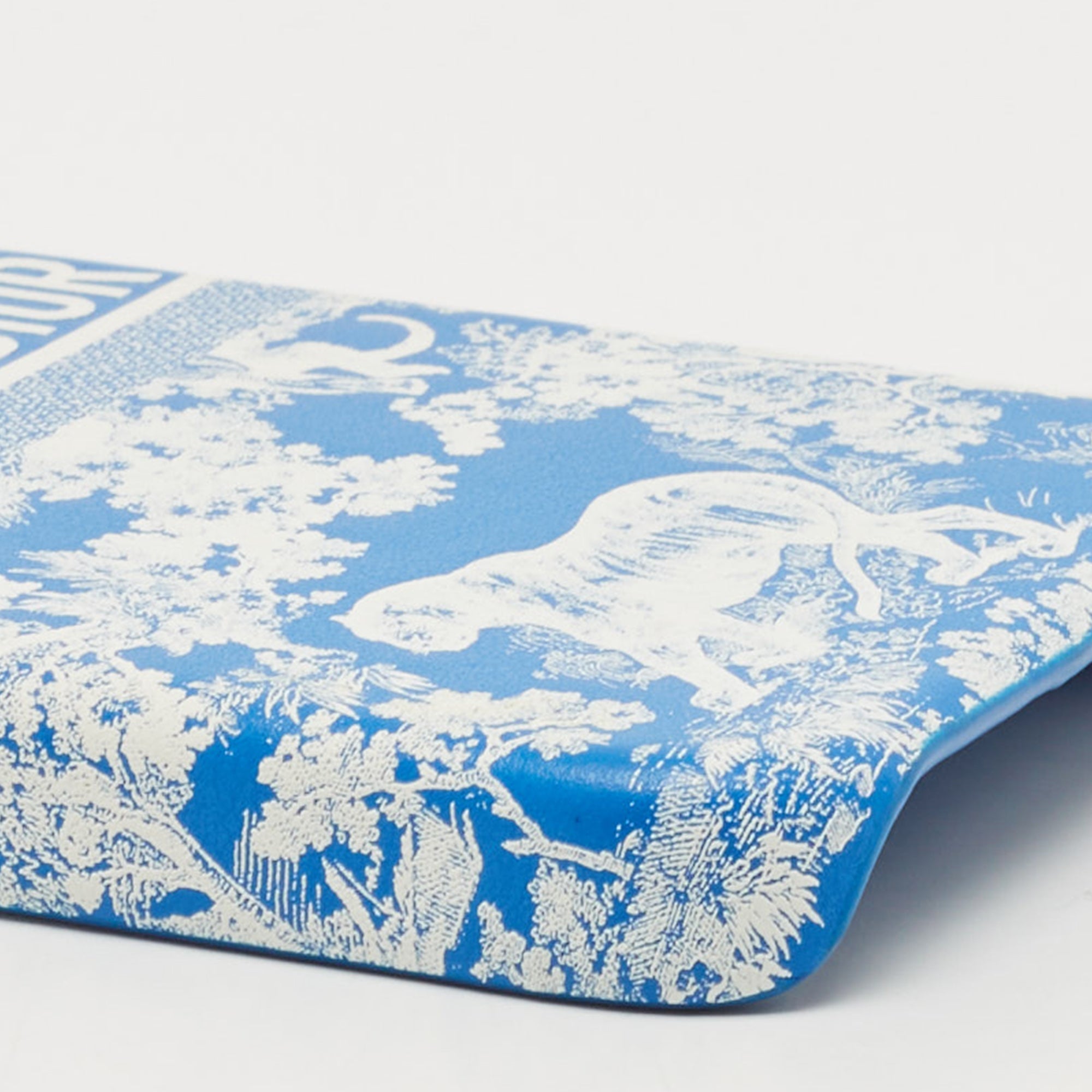 DIOR Blue/White Leather  Travel iPhone 13 Pro Case