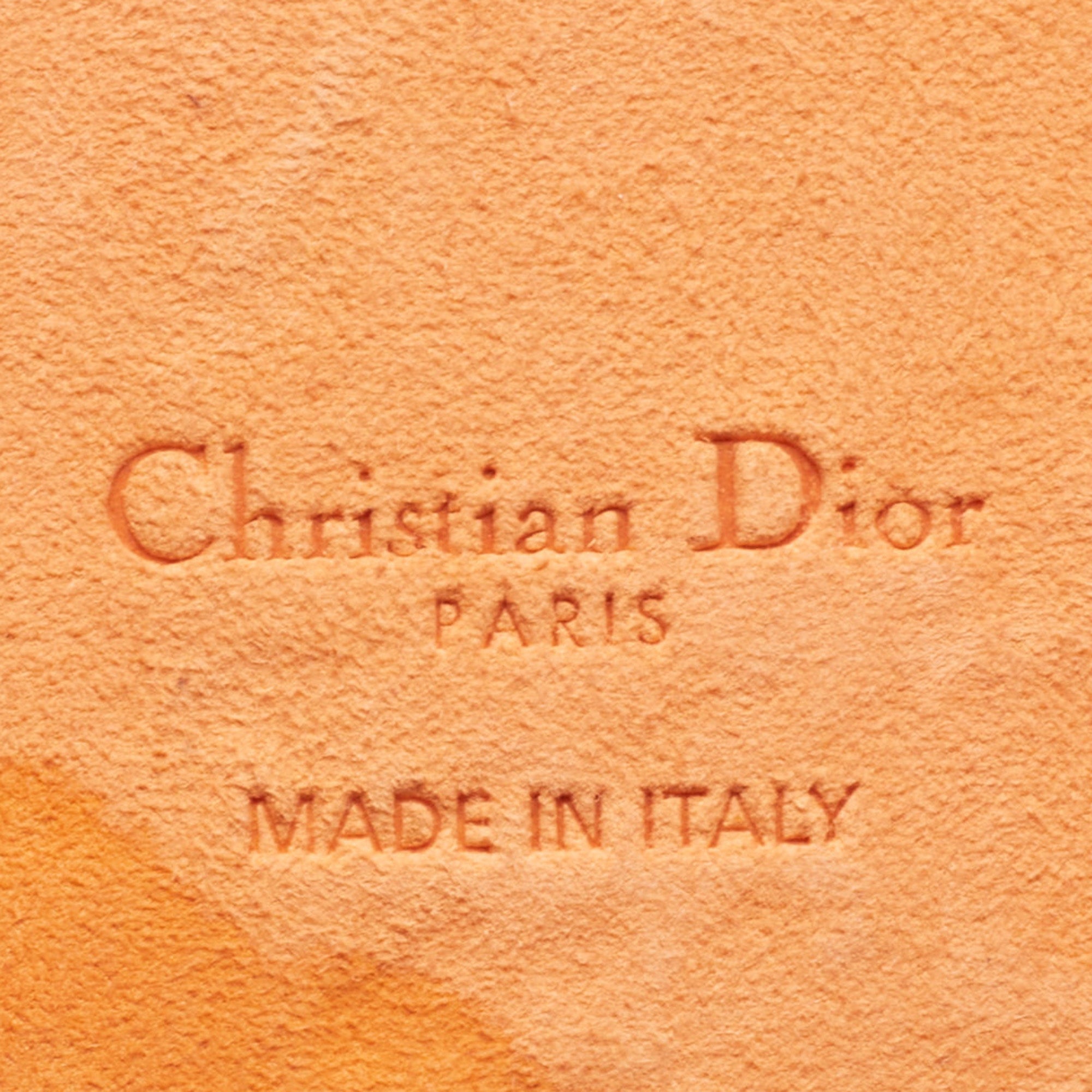 DIOR Orange/White Leather  Travel iPhone 13 Pro Case