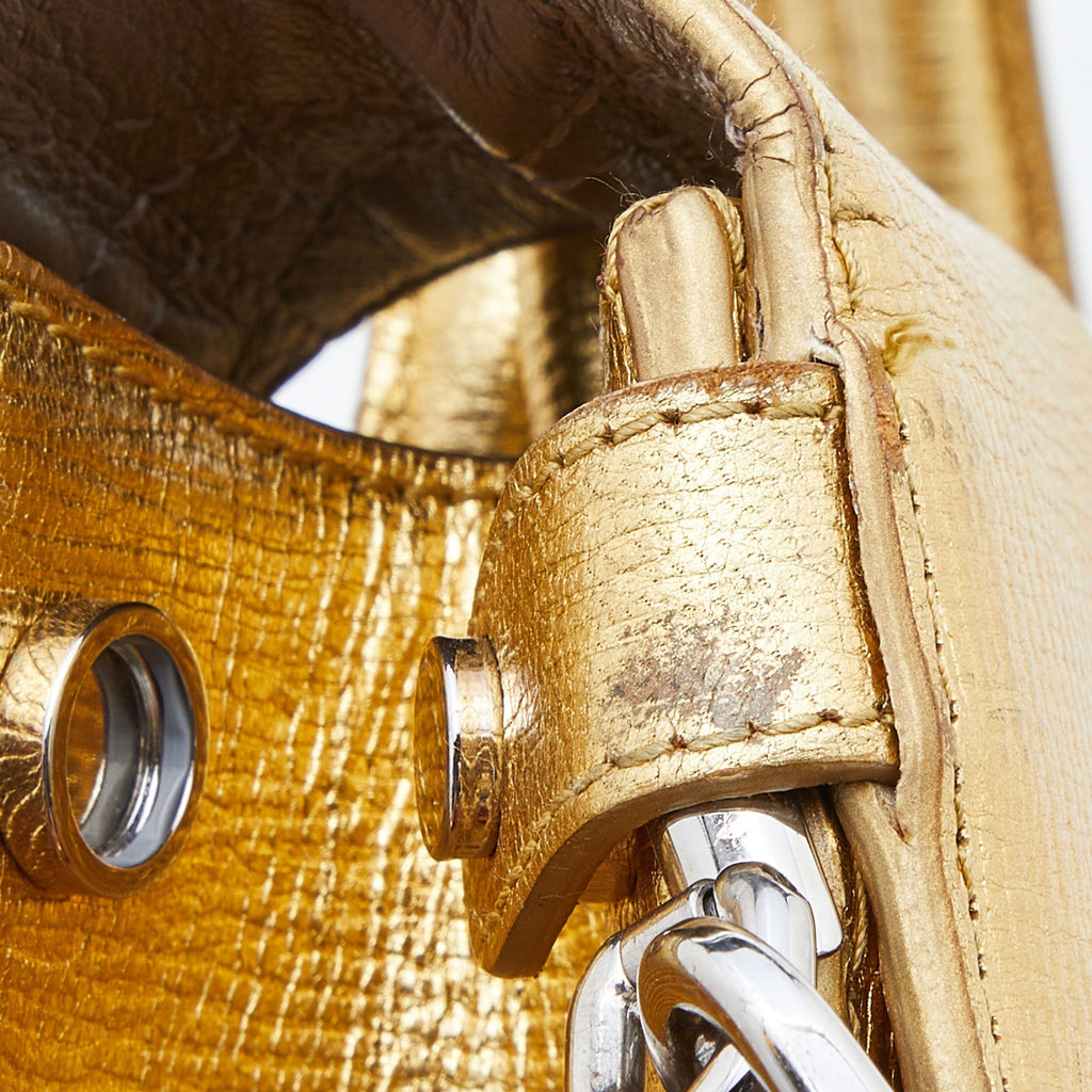 DIOR Metallic Gold Leather Medium ever Bag