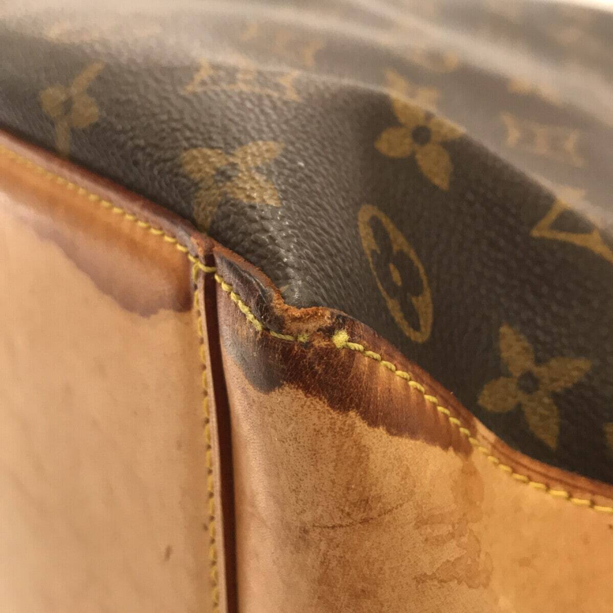 Louis Vuitton Cabas Alto Monogram