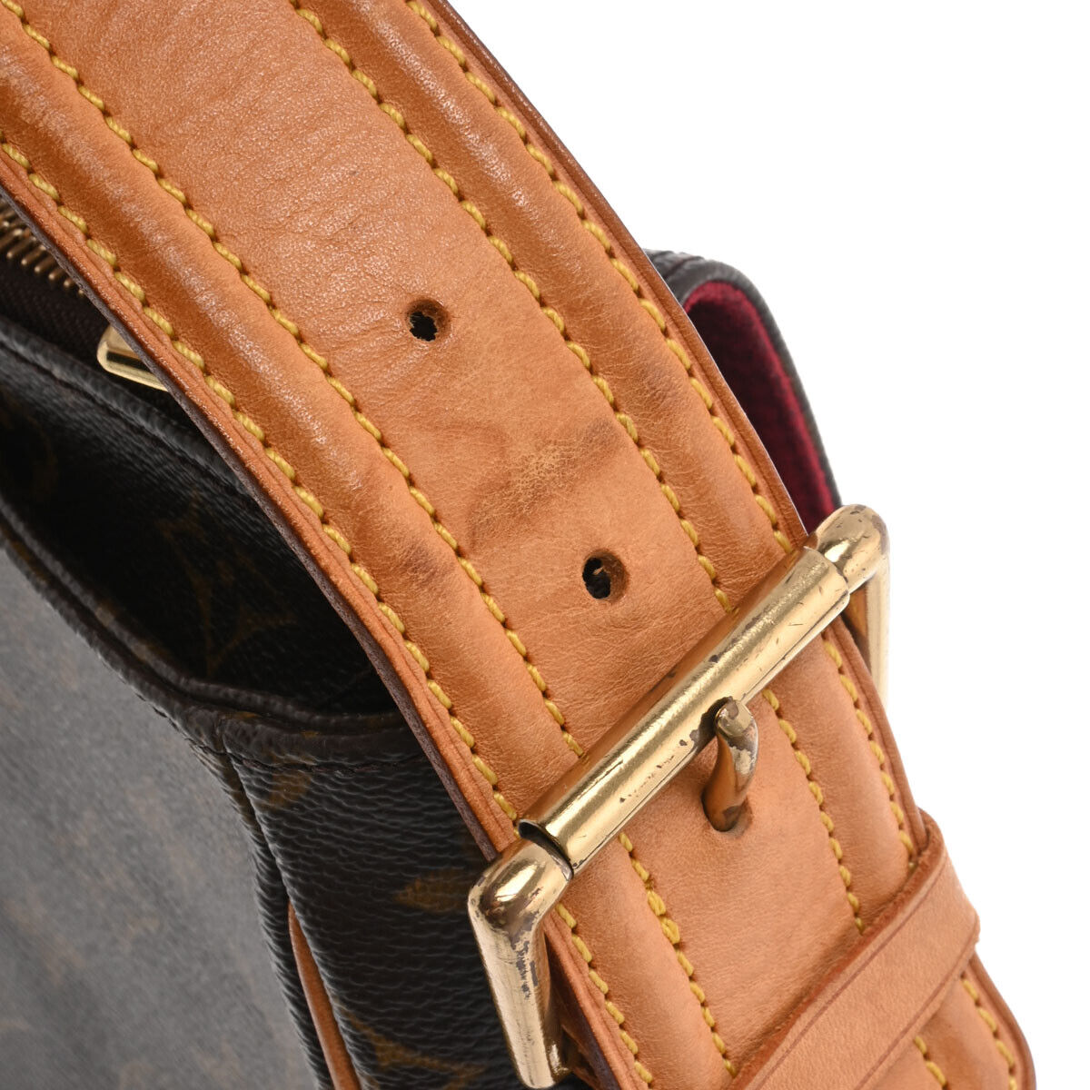 Louis Vuitton Viva Cite GM M51163