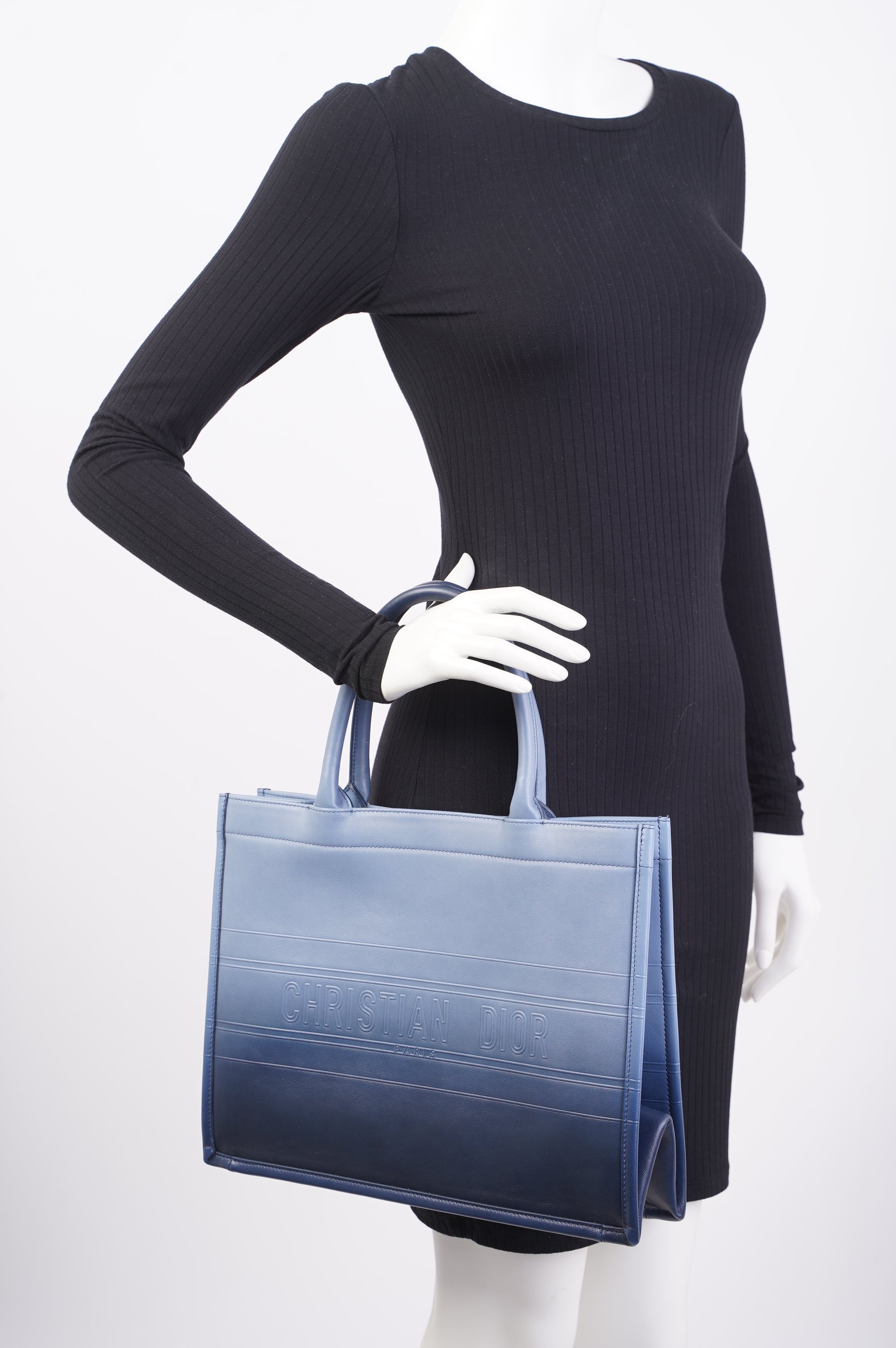 Christian Dior Book Tote Ombre Blue Leather Blue Leather Medium