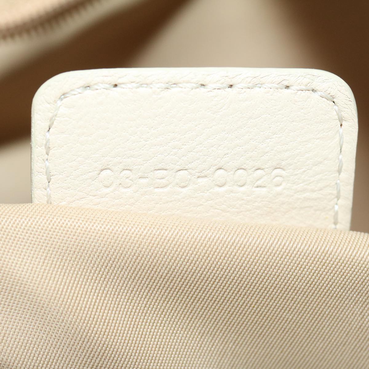 CHRISTIAN DIOR Trotter Canvas Hand Bag PVC Leather Beige Auth yk4818